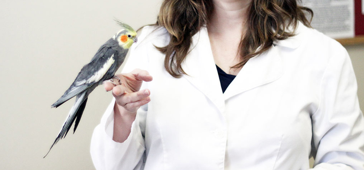 bird regular veterinary hospital in Pleasant Lake