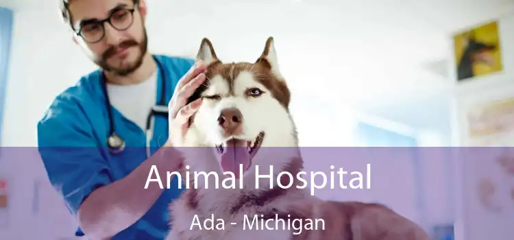 Animal Hospital Ada - Michigan