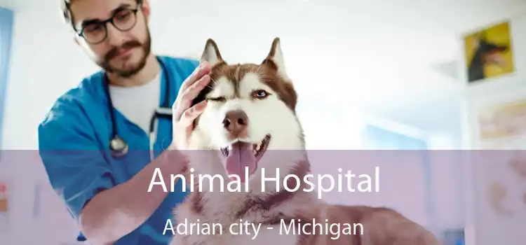 Animal Hospital Adrian city - Michigan