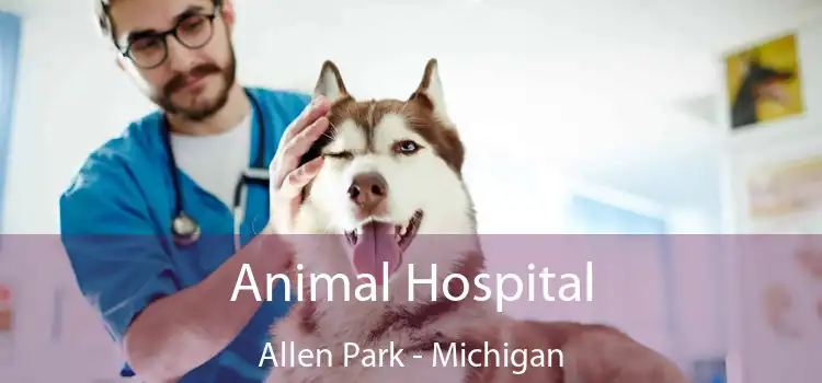 Animal Hospital Allen Park - Michigan