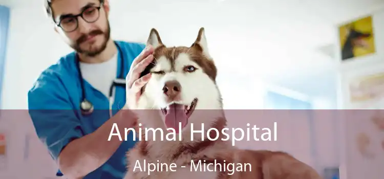 Animal Hospital Alpine - Michigan