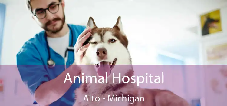 Animal Hospital Alto - Michigan