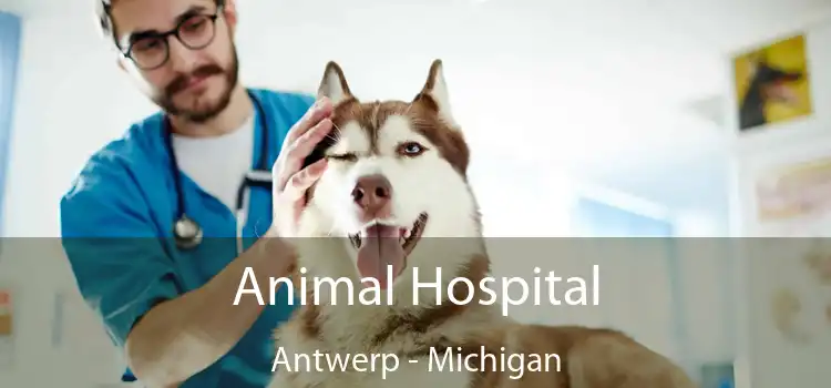 Animal Hospital Antwerp - Michigan