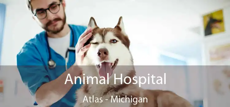 Animal Hospital Atlas - Michigan