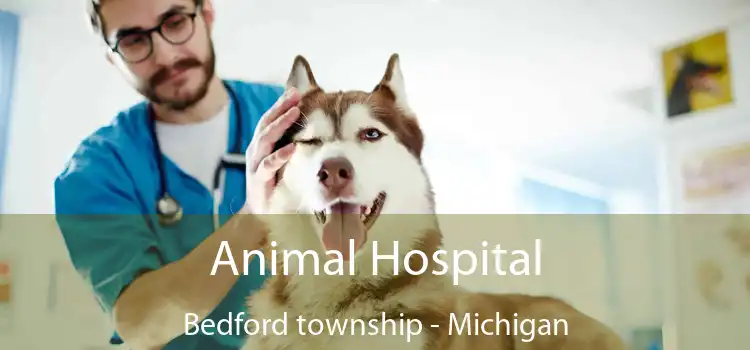 Animal Hospital Bedford township - Michigan