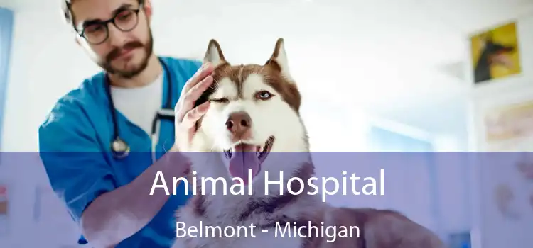 Animal Hospital Belmont - Michigan