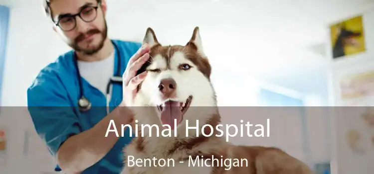 Animal Hospital Benton - Michigan