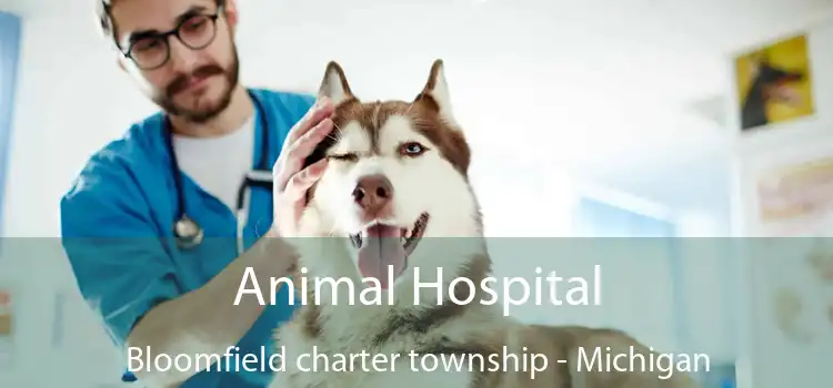 Animal Hospital Bloomfield charter township - Michigan