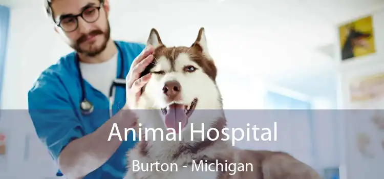 Animal Hospital Burton - Michigan