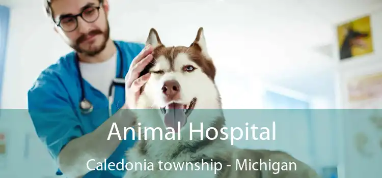 Animal Hospital Caledonia township - Michigan