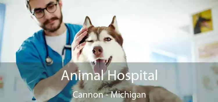 Animal Hospital Cannon - Michigan