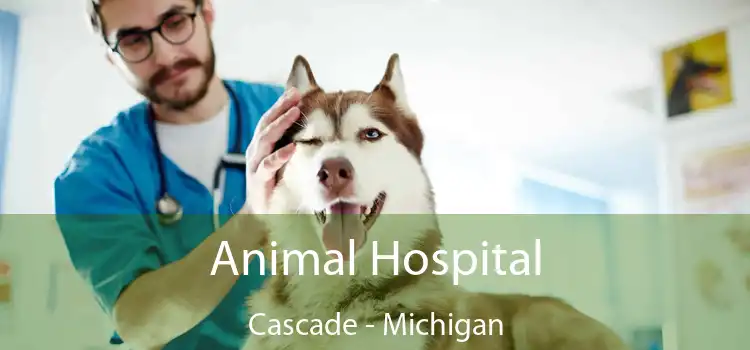 Animal Hospital Cascade - Michigan