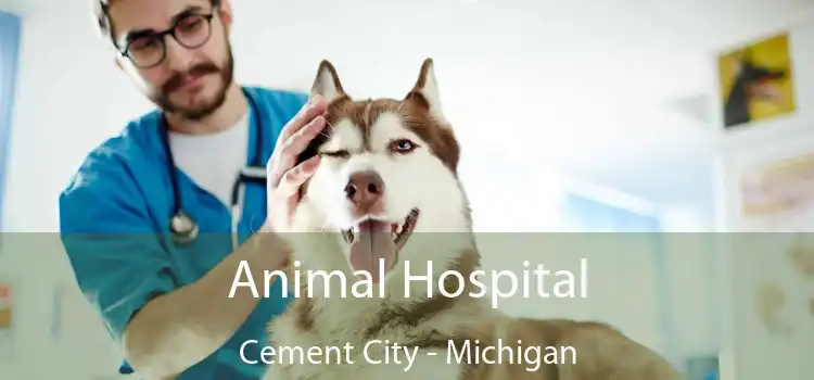 Animal Hospital Cement City - Michigan