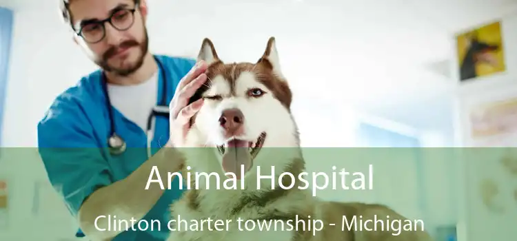 Animal Hospital Clinton charter township - Michigan