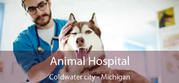 Animal Hospital Coldwater city - Michigan