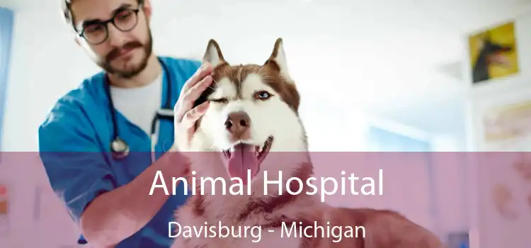 Animal Hospital Davisburg - Michigan