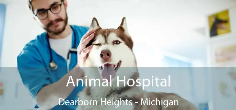 Animal Hospital Dearborn Heights - Michigan