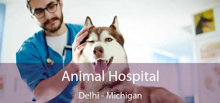 Animal Hospital Delhi - Michigan