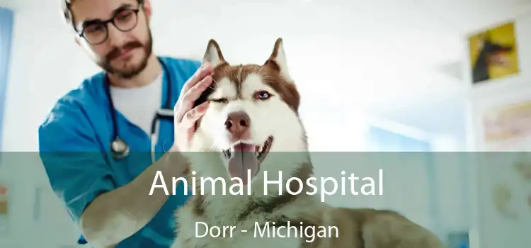 Animal Hospital Dorr - Michigan