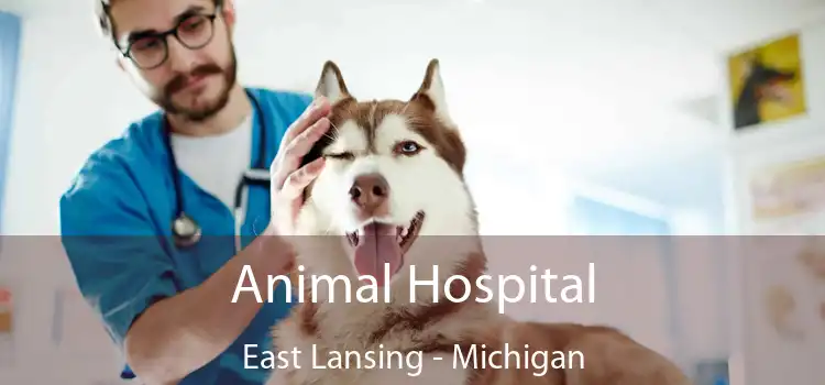 Animal Hospital East Lansing - Michigan