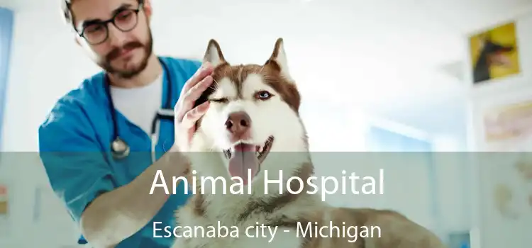 Animal Hospital Escanaba city - Michigan