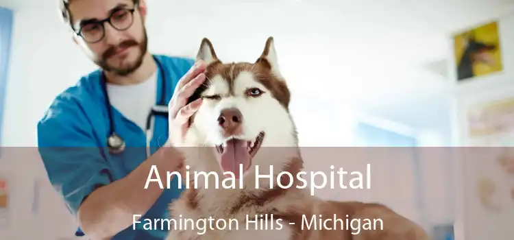 Animal Hospital Farmington Hills - Michigan