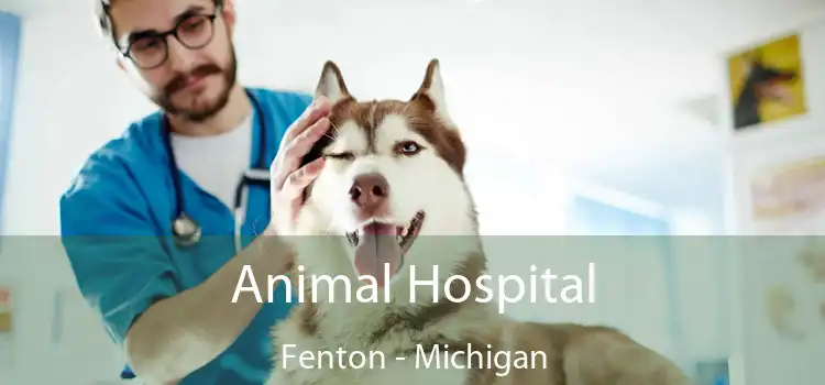 Animal Hospital Fenton - Michigan