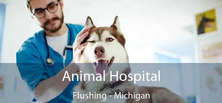 Animal Hospital Flushing - Michigan