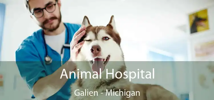 Animal Hospital Galien - Michigan