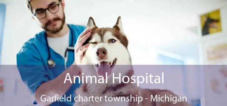 Animal Hospital Garfield charter township - Michigan