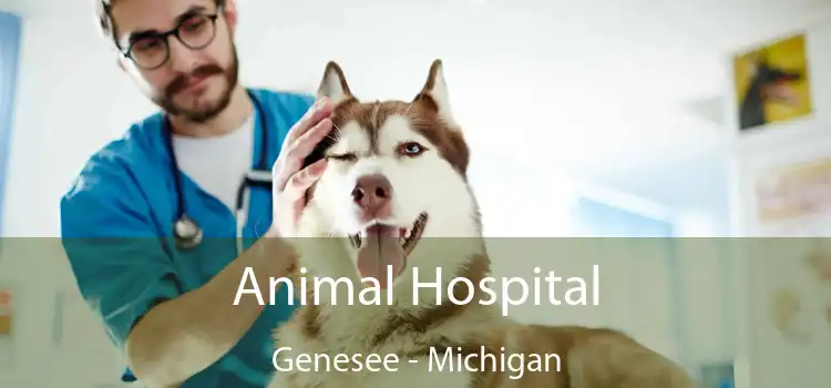 Animal Hospital Genesee - Michigan