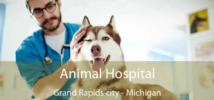 Animal Hospital Grand Rapids city - Michigan