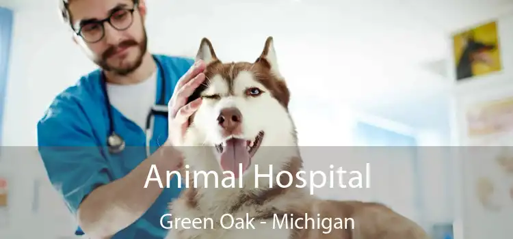 Animal Hospital Green Oak - Michigan