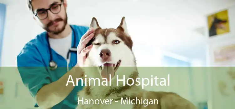 Animal Hospital Hanover - Michigan