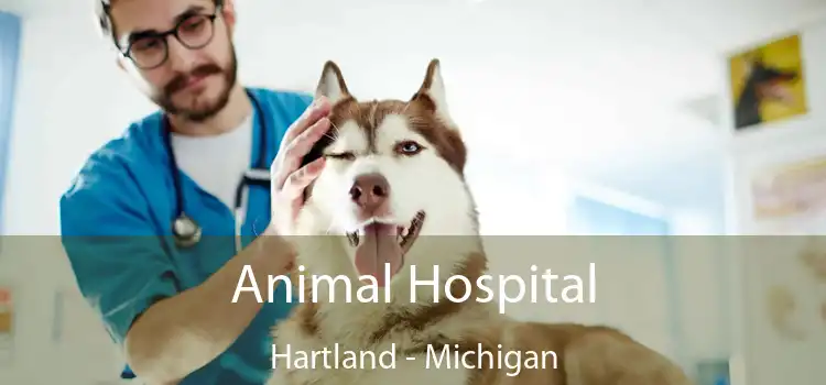 Animal Hospital Hartland - Michigan