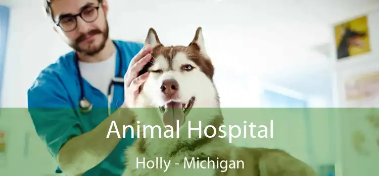 Animal Hospital Holly - Michigan