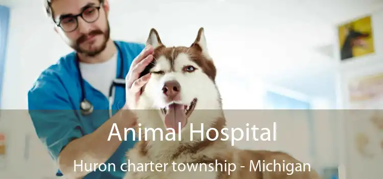 Animal Hospital Huron charter township - Michigan