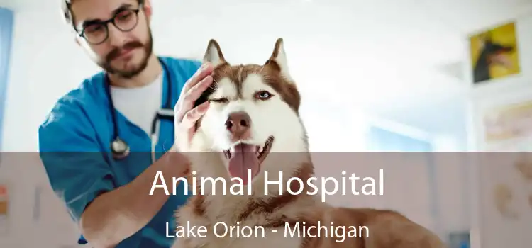 Animal Hospital Lake Orion - Michigan