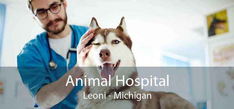 Animal Hospital Leoni - Michigan