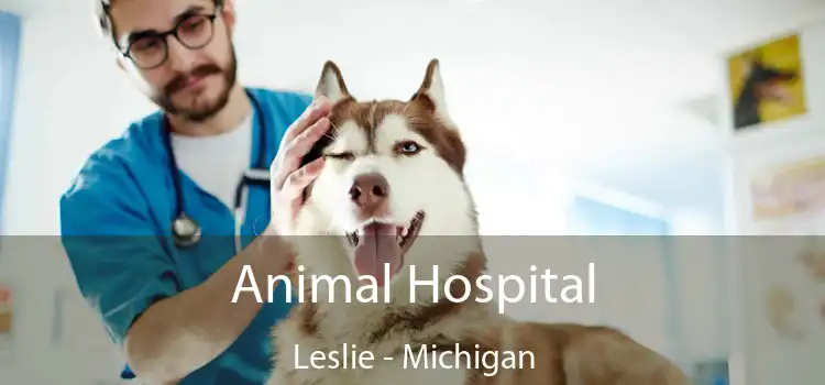 Animal Hospital Leslie - Michigan