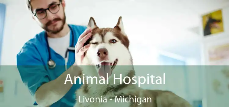 Animal Hospital Livonia - Michigan