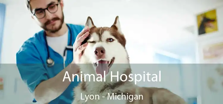 Animal Hospital Lyon - Michigan