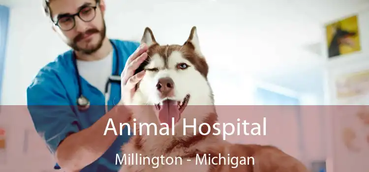 Animal Hospital Millington - Michigan