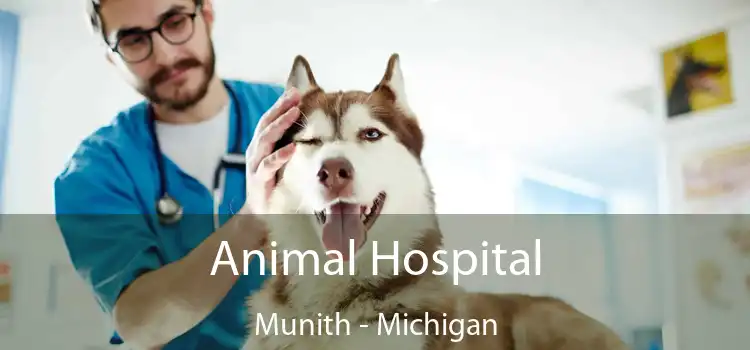 Animal Hospital Munith - Michigan