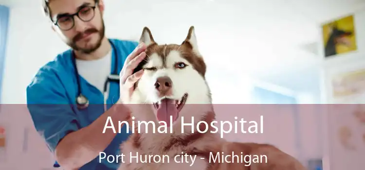 Animal Hospital Port Huron city - Michigan