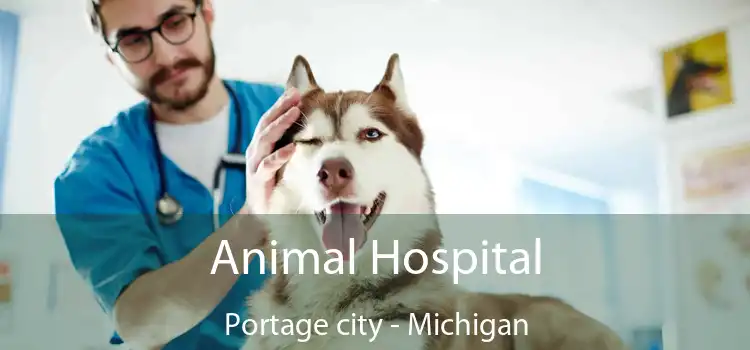 Animal Hospital Portage city - Michigan