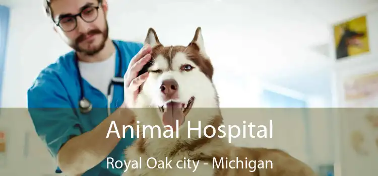 Animal Hospital Royal Oak city - Michigan