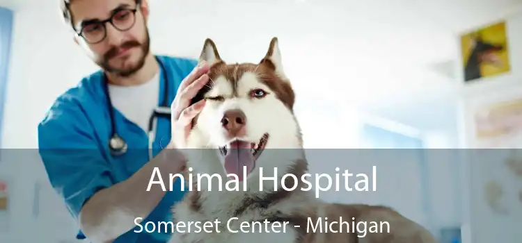 Animal Hospital Somerset Center - Michigan