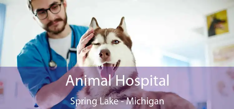 Animal Hospital Spring Lake - Michigan