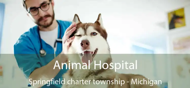 Animal Hospital Springfield charter township - Michigan